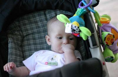 IMG_7472.jpg