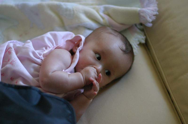 IMG_7430.jpg