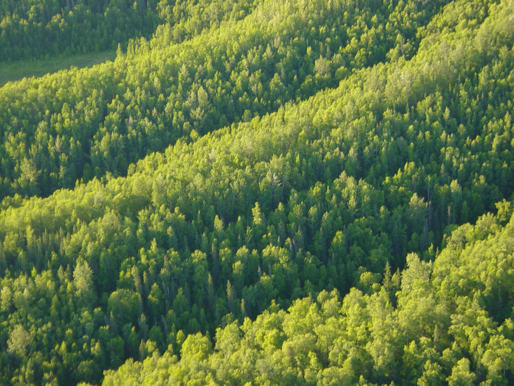 rolling ridges