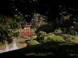 Japanese gardens 3
