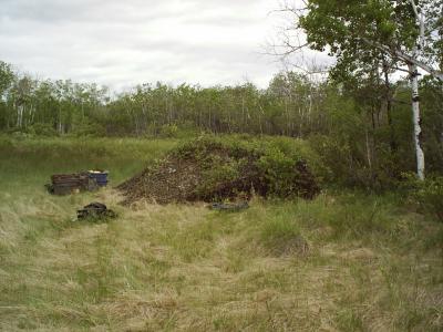 survivor 084.jpg