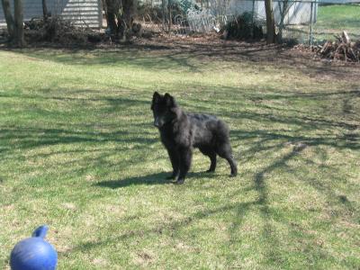 sam 04/03.jpg