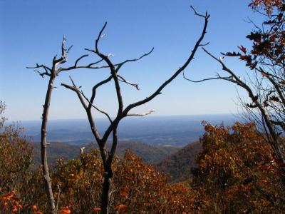 At the intersection of Stony Man Trail and Appalachian Trail