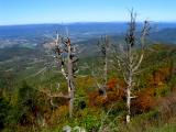 Overlook View