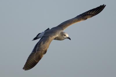 DSC_2272web.jpg