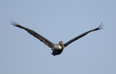DSC_2543web.jpg
