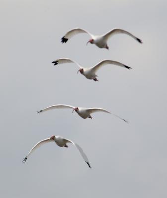 DSC_2015web.jpg