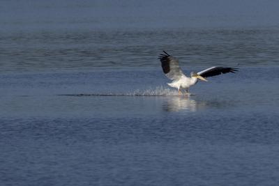 DSC_2317web.jpg