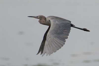DSC_2004web.jpg