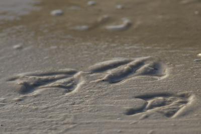 DSC_2679web.jpg