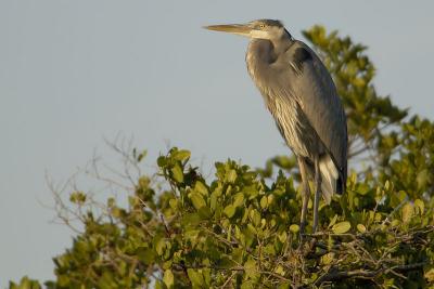 DSC_2711web.jpg