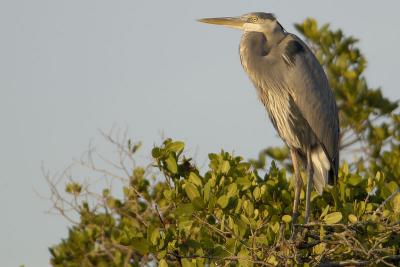 DSC_2711web.jpg