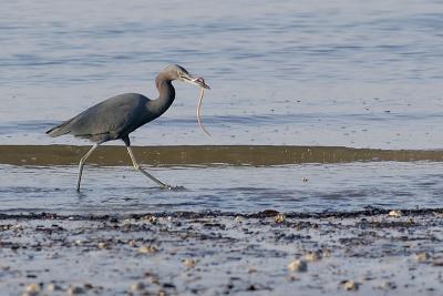 DSC_1907web.jpg