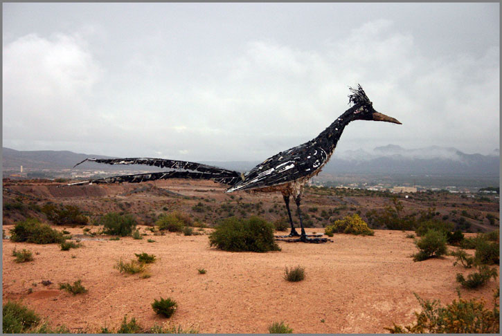 Roadrunner