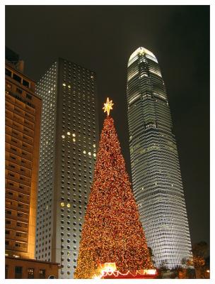 Central - Christmas Tree