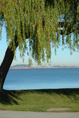 Downtown view from Bayshore Burlingame