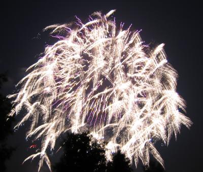 fireworks06.jpg