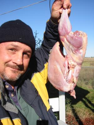 turkeygoingtosmoker.JPG