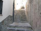 IMG0249.JPG