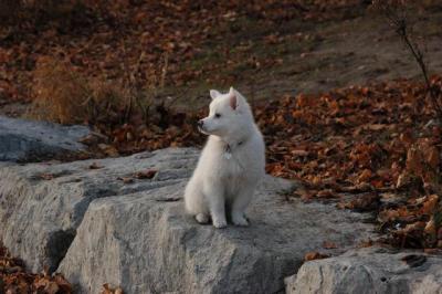 Dec1_04_147.JPG