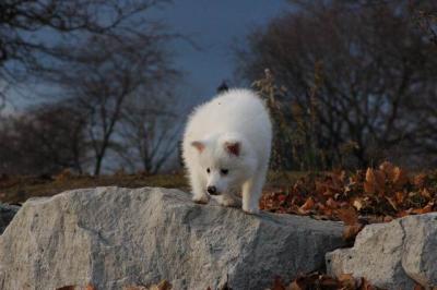 Dec1_04_149.JPG