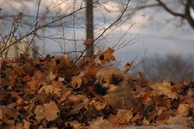 Dec1_04_279.JPG