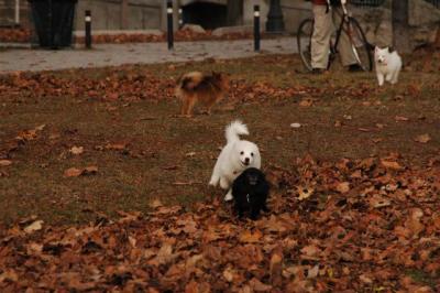 Dec1_04_321.JPG