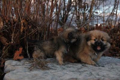 Dec1_04_416.JPG