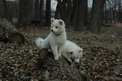 Dec2a_04_070.JPG