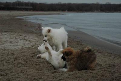 Dec2a_04_474.JPG