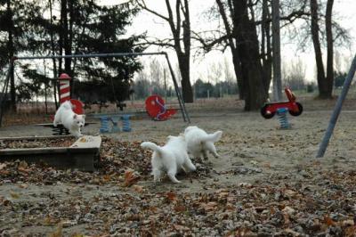 Dec2_04_067.JPG
