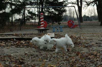 Dec2_04_070.JPG