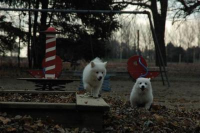 Dec2_04_087.JPG