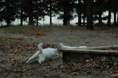 Dec2_04_113.JPG