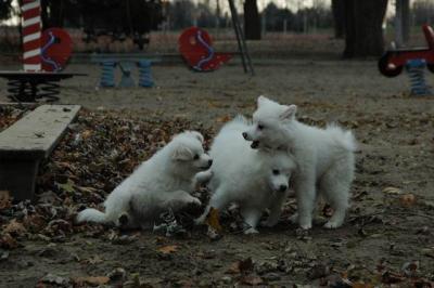 Dec2_04_114.JPG