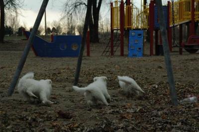 Dec2_04_119.JPG