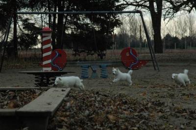 Dec2_04_120.JPG