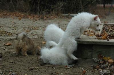Dec2_04_149.JPG