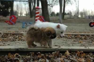Dec2_04_155.JPG