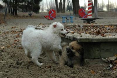 Dec2_04_178.JPG