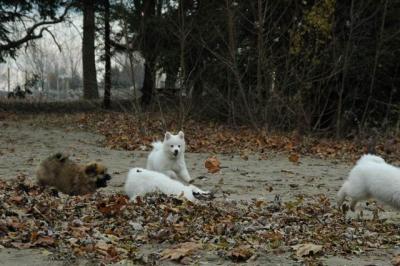 Dec2_04_204.JPG