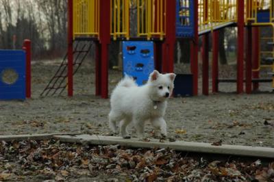 Dec2_04_208.JPG