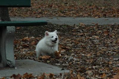 Dec2_04_210.JPG