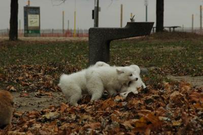 Dec2_04_217.JPG