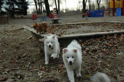 Dec2_04_226.JPG