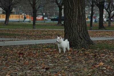 Dec2_04_227.JPG