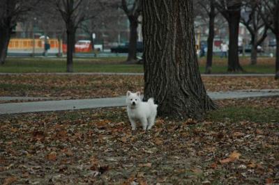 Dec2_04_228.JPG