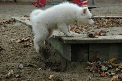 Dec2_04_234.JPG
