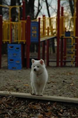 Dec2_04_239.JPG