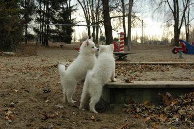 Dec2_04_246.JPG